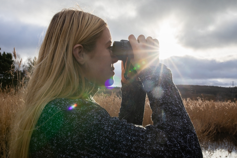 WWT Llanelli to share the Magic of Autumn Nature with Popular Guided Walks